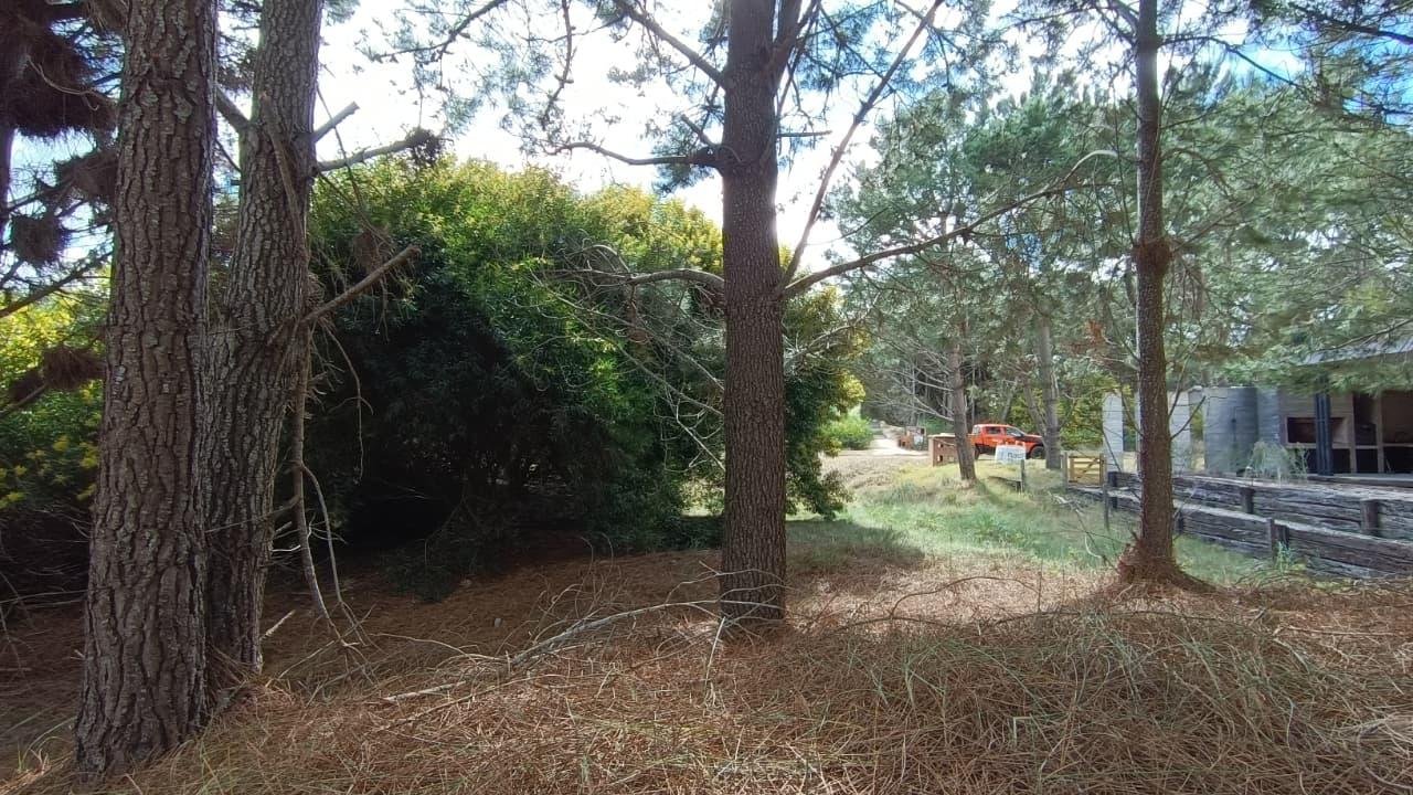 3fe002bf233007585197855ddc67cf92