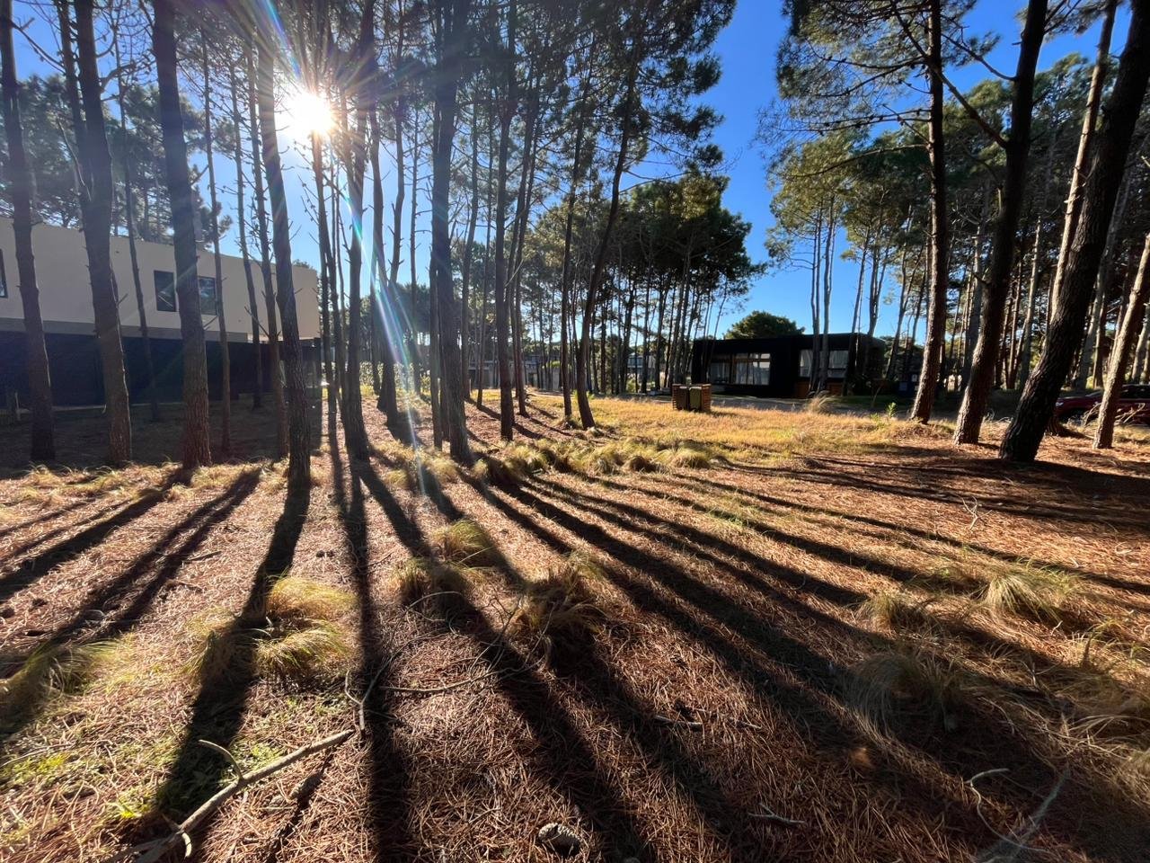 3ffb102e8cf0683fd1a7501a4eb43118