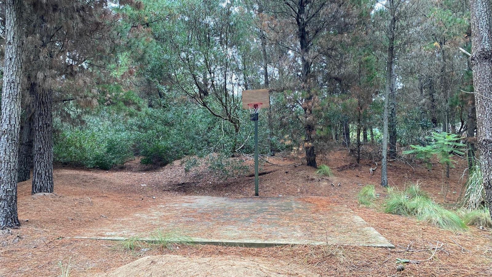 40fe03728f2fd0b9d9a141aafb243dce