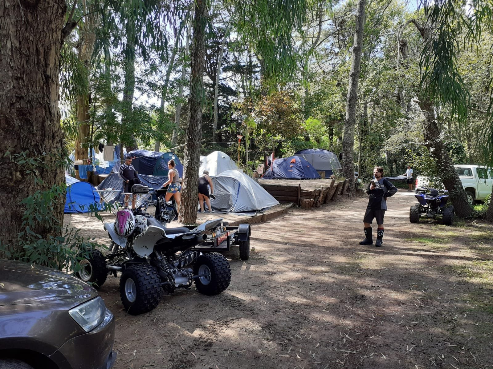 44829a31774d8a242c45523af7a50b1b