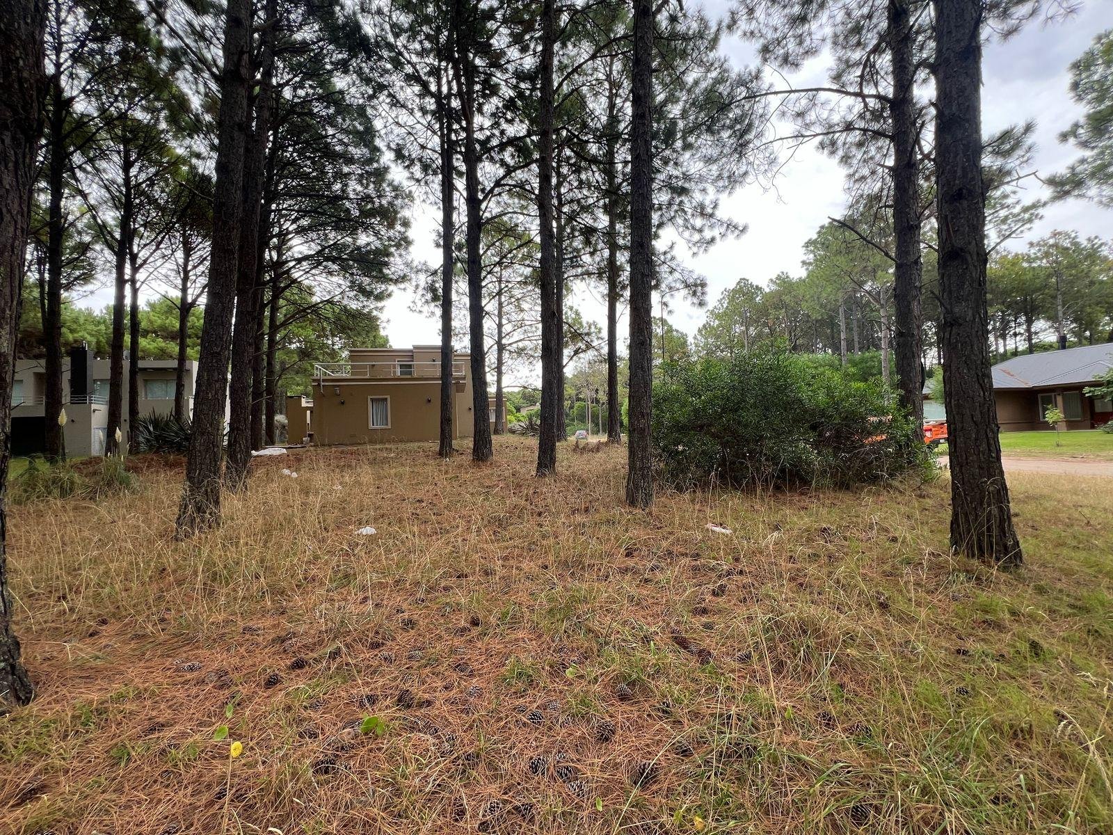 44c8b8dc5e7d7f7310fcea30f44705b2