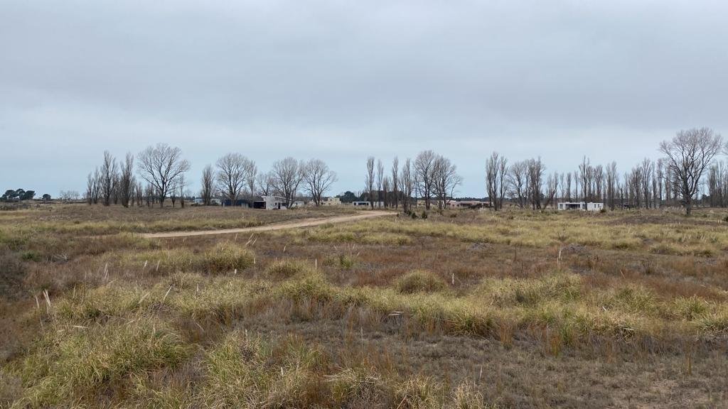 44e56cf6be558a892e76688d5b487776