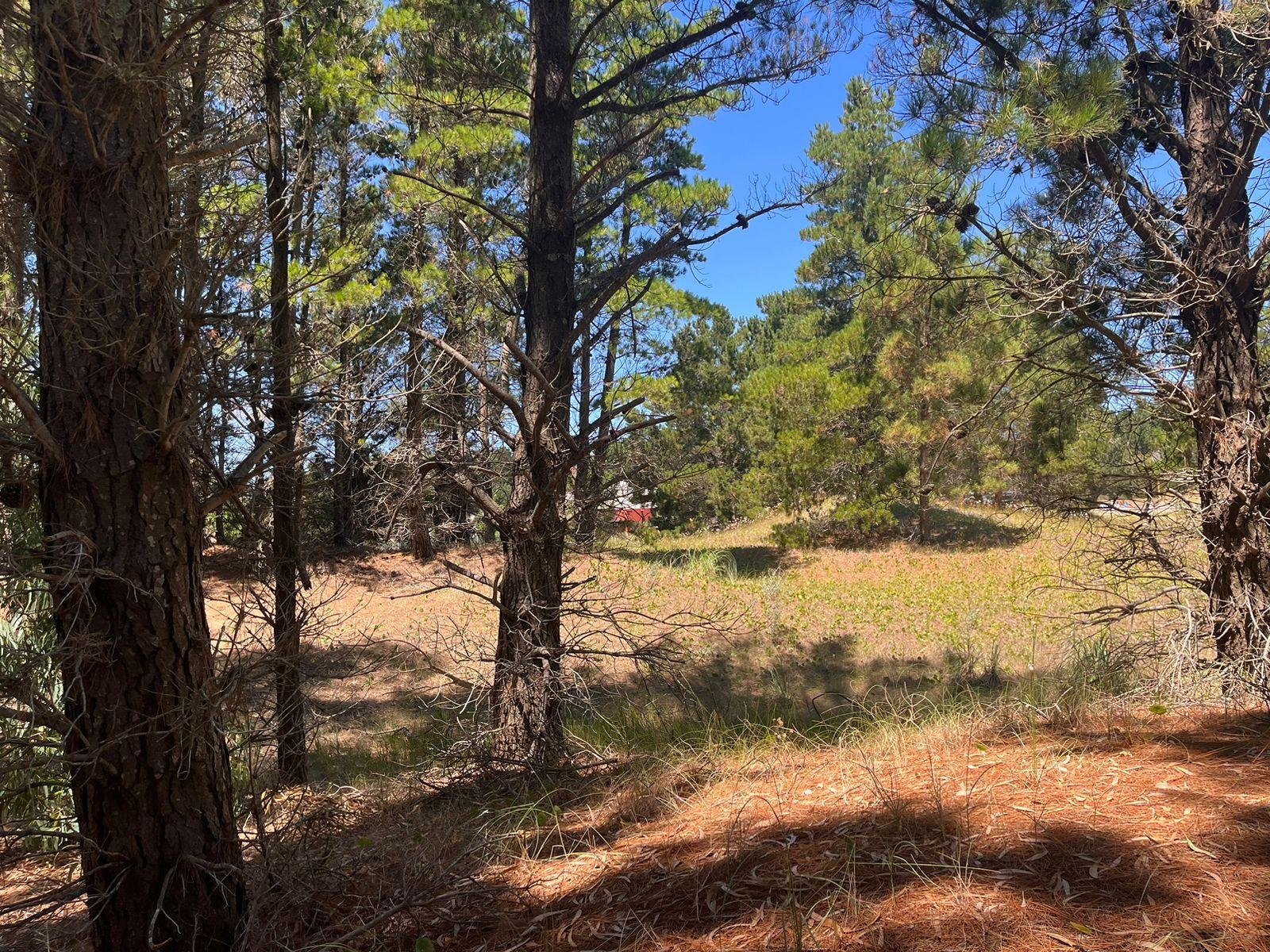 477133eaa64dda9148ac736ff9d23bd3