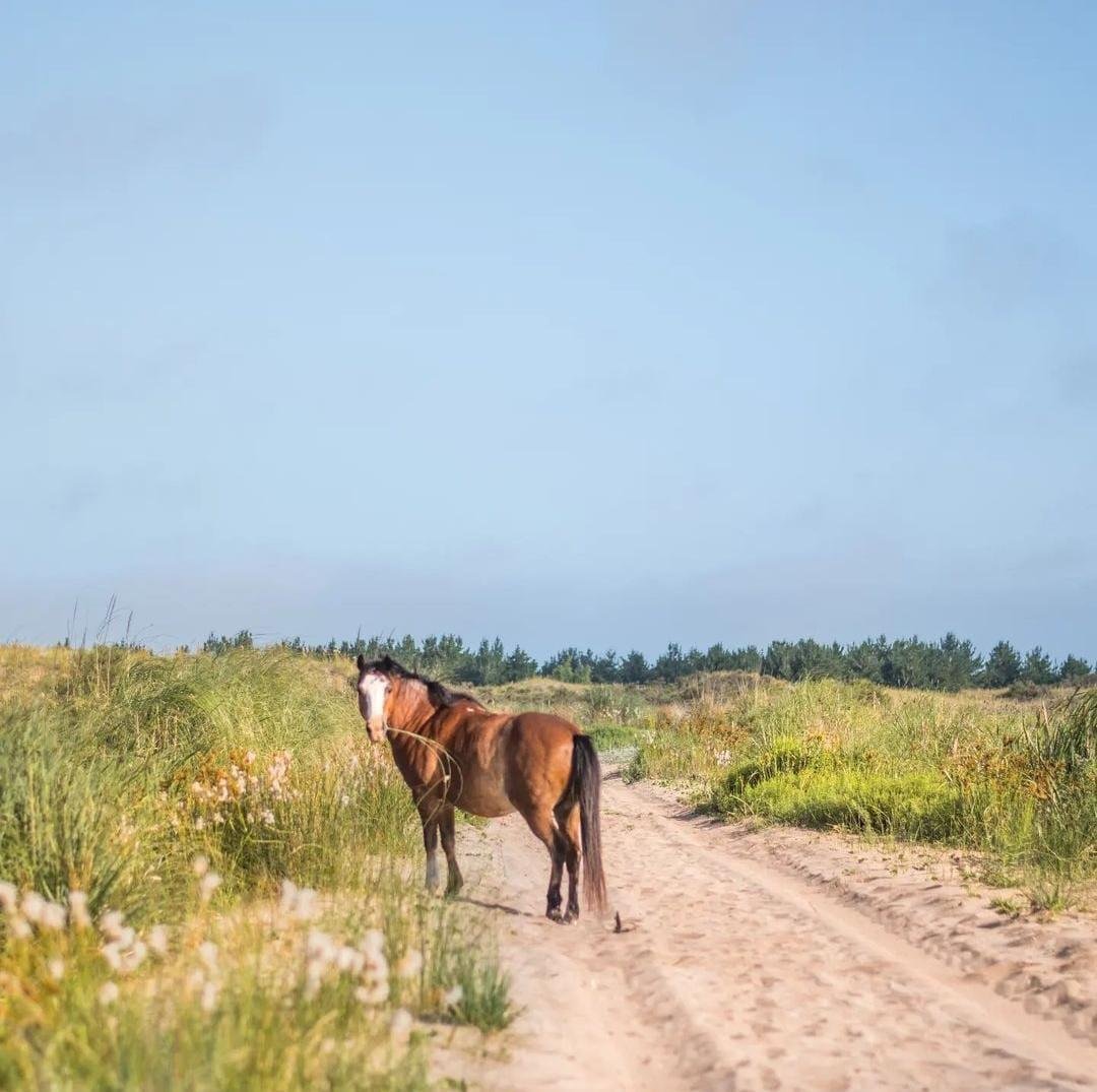 483e1c7fa525173bdb73a8692c0201a3