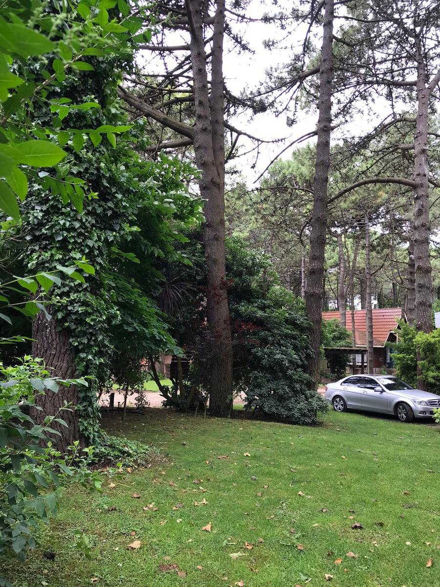 4893447ae33ab4fa982e5ea65f7deb6a