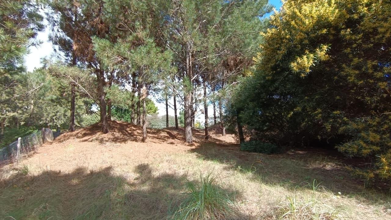 4b398178467b8478e9b5ee52a48a7e4f