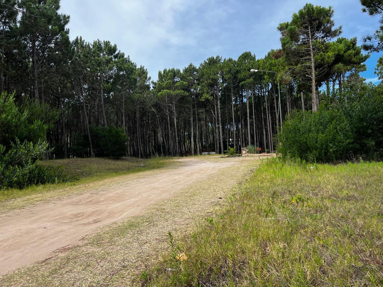 4bf776e9a664e2c313e0f5a1ff0309d9