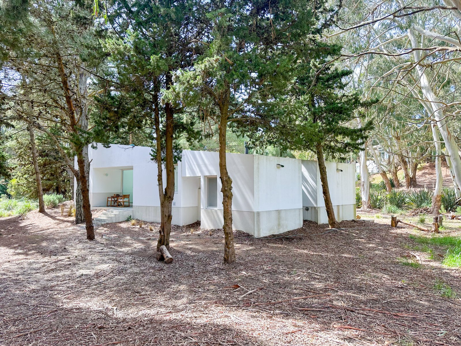 5005b6104a147bdcd23fc3b88aa6f875