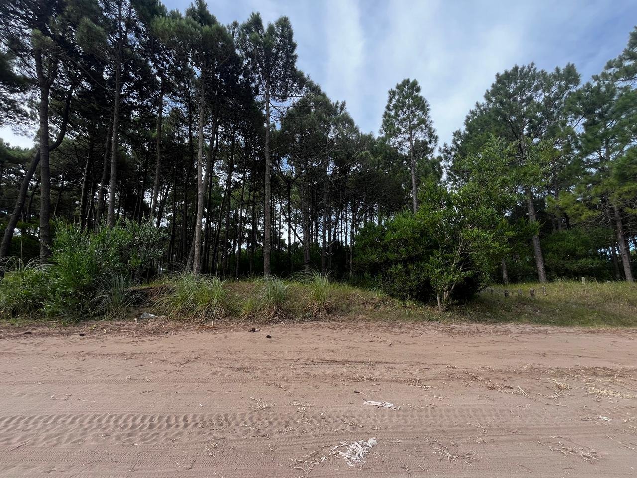 5144d2c1b79a7a10683fabdb74dc9d72