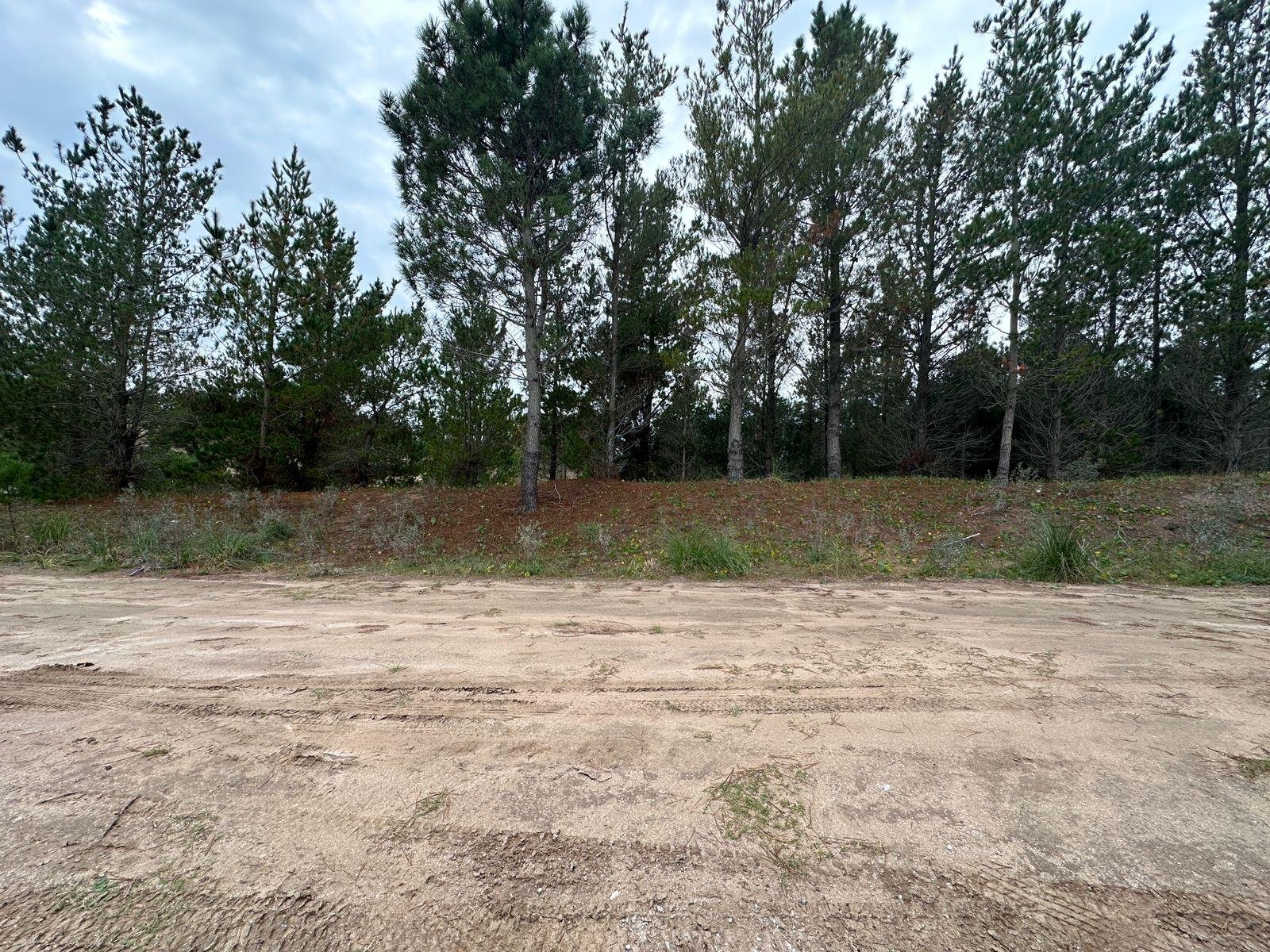 53c2ad92a2969a59cb3724bfd1b0d0a6