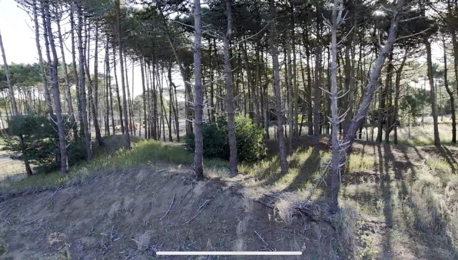 54d097cc2aee30630d25a1a40b1563c8