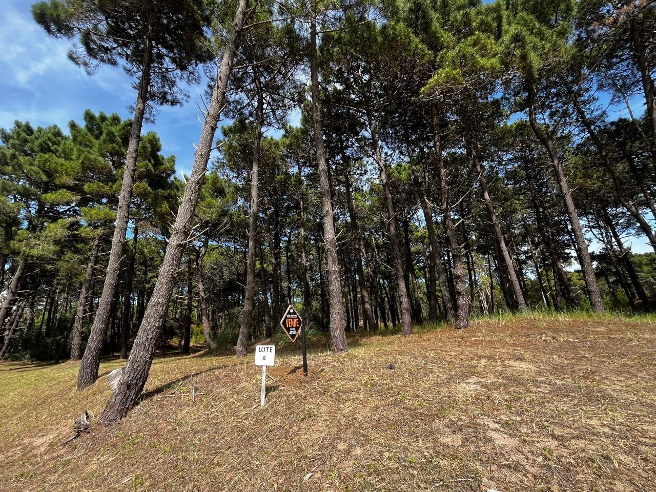 551945e571ebfb58897c36fd5a8a5264