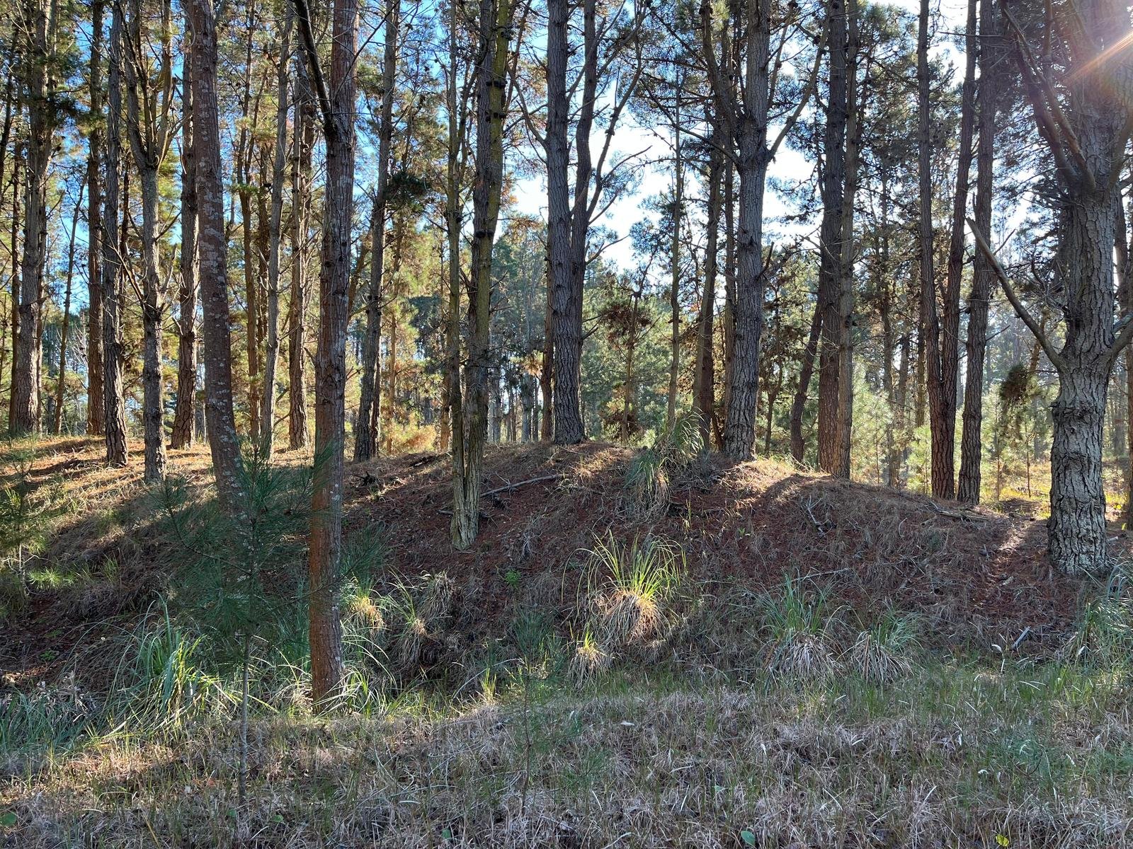 556d93efbe485d3e6a6feea69bd964f6