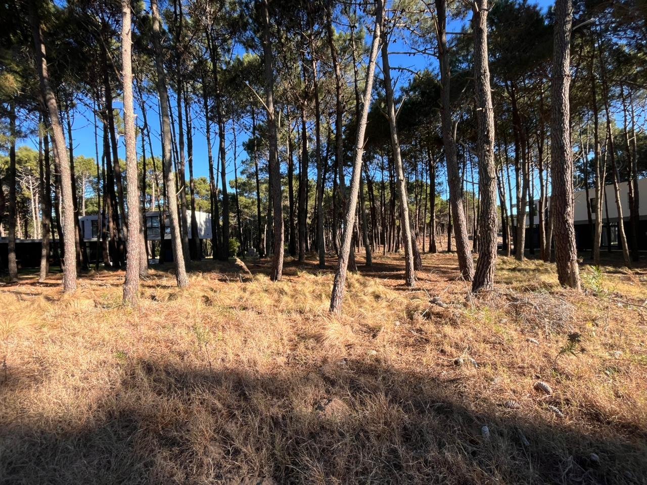 5771feb8b44ce5c3aeaa2a2c4e5e476c