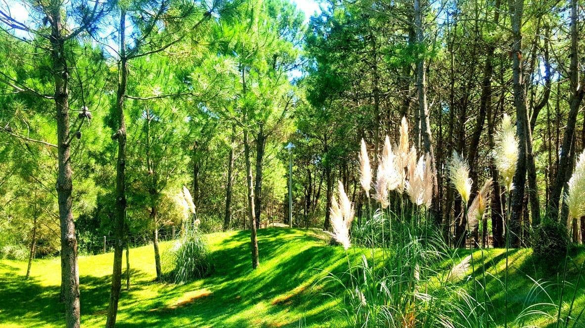 57c68cbce7283888c15380a3f18ceb92