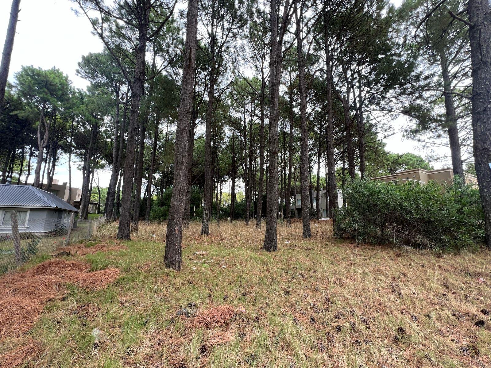 5814244b980be9ddc49d2e7773cb9417