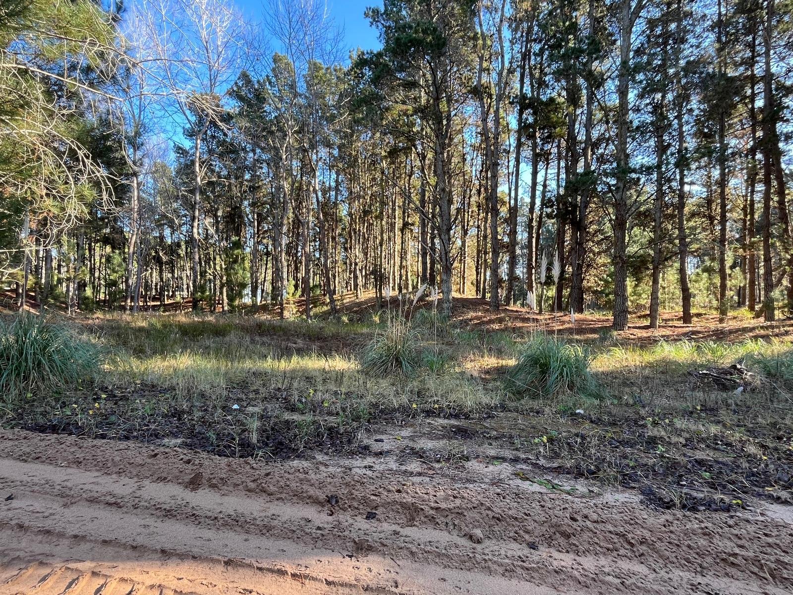 5ad200acac9e2cbdb5500885a2141e56