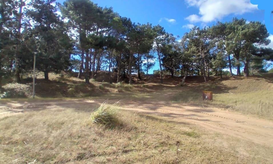 5ad2656356578b89e5d0f08118683d74