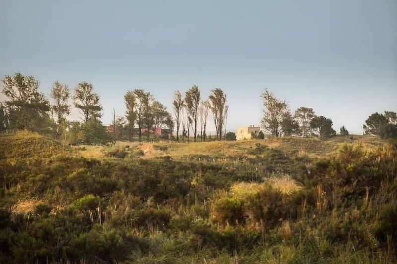 5aefb1b2b443aaa33a3cc19ae1088021