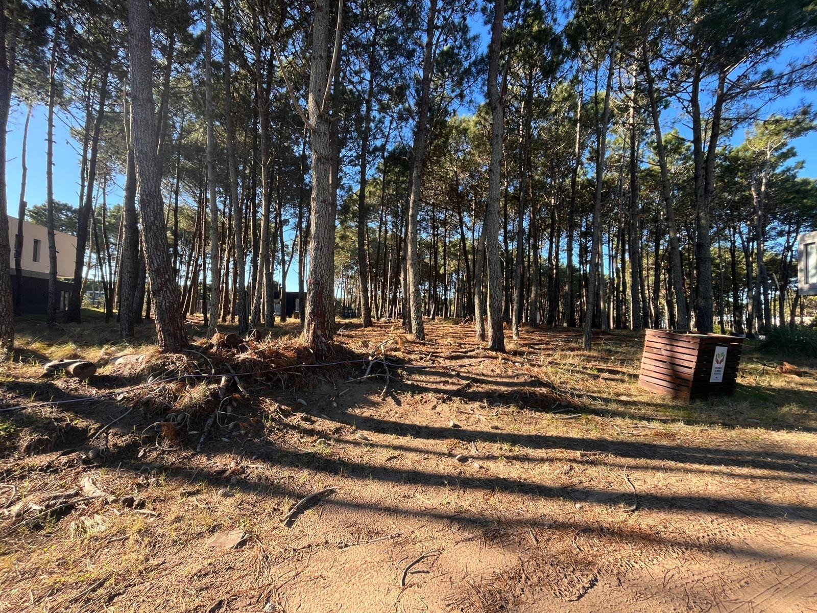 5cf21284a32f708bdfd1ddc5b45e0d4d