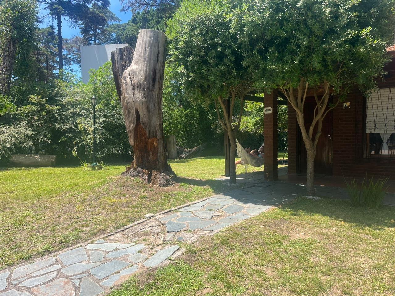 5d8459ff74329965d428b9a71c6dc828