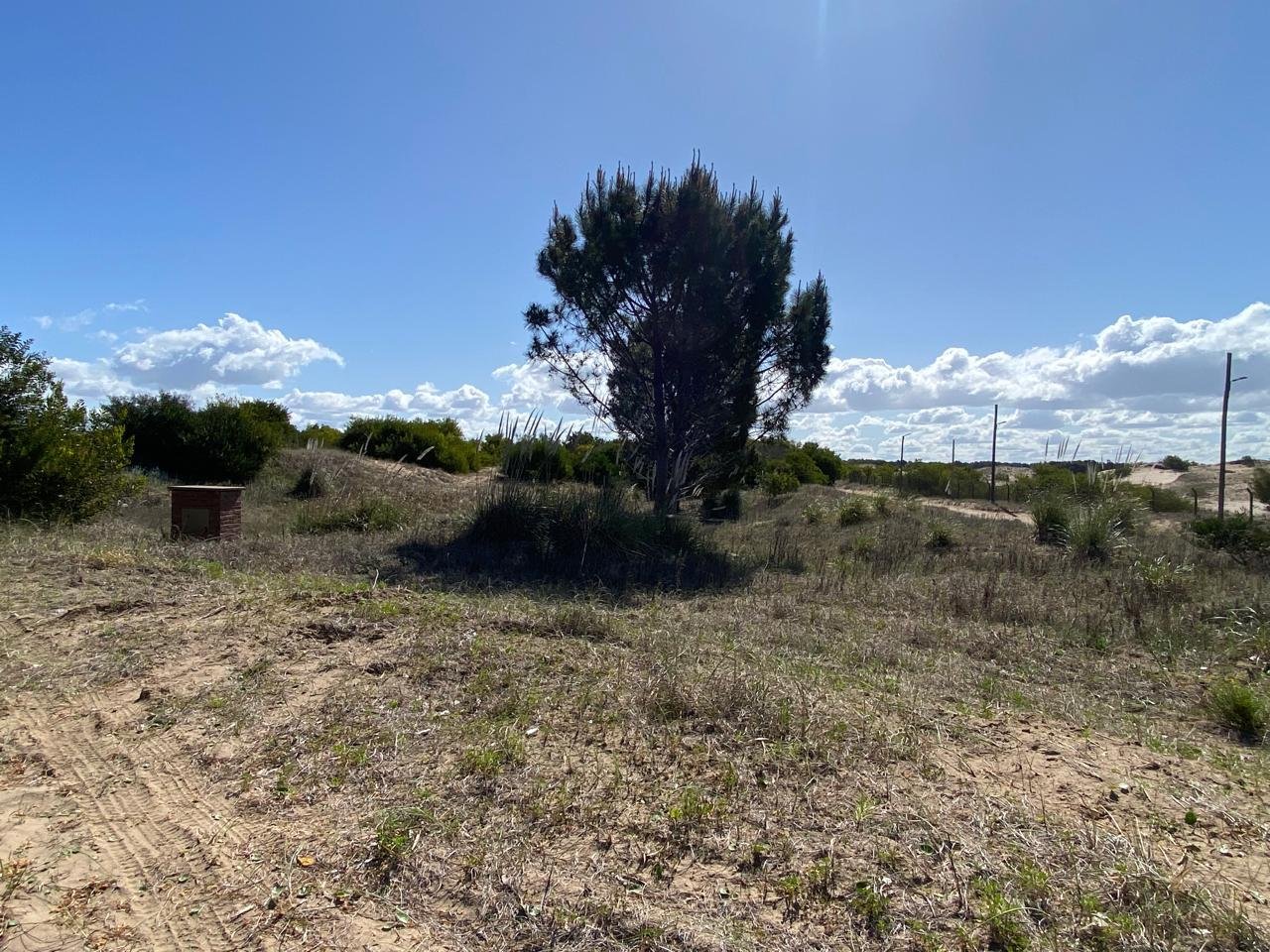 5e15a954f09de71d933dbc05de0e7a58