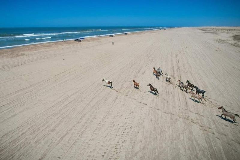 5e37b84dba3f1fbf10c2622fde6f1204