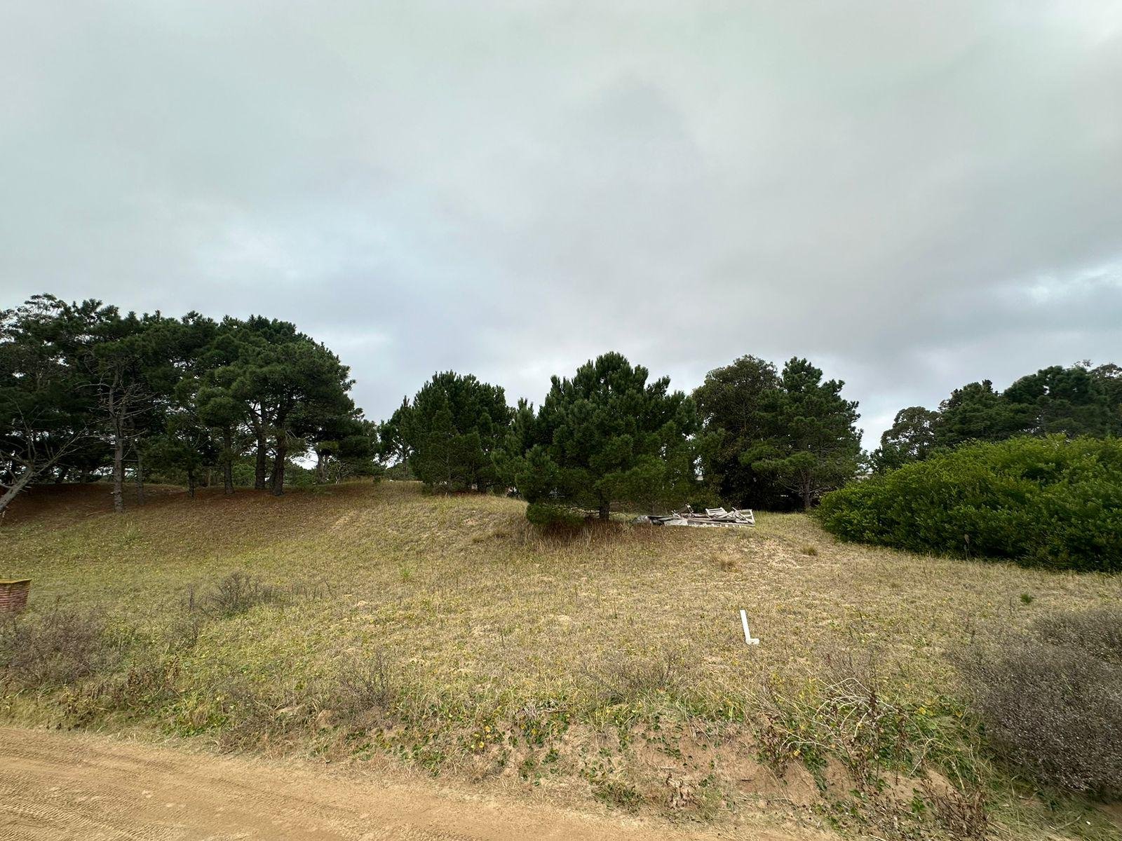 60a66737c6afdc2cd3601bc3a387066e