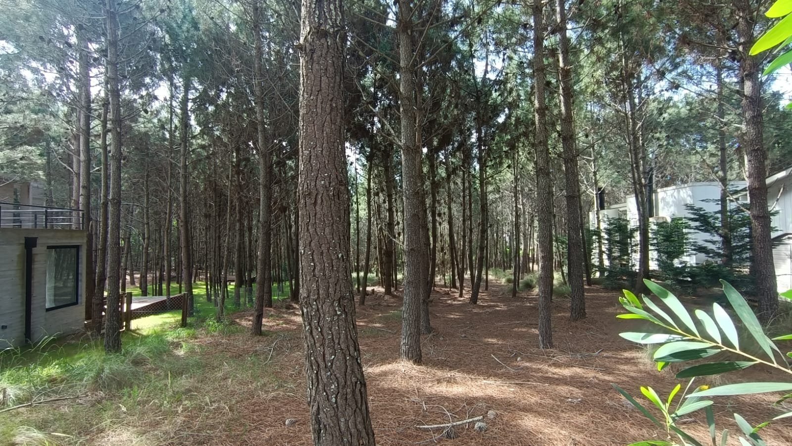 60cb765b51010aa62328297e512abd0d