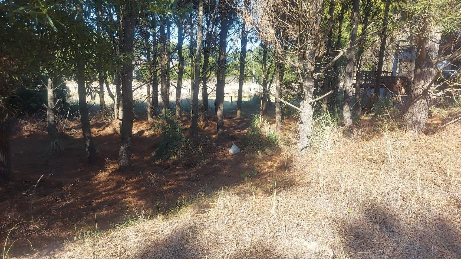 62588d03f15c9ad0b64054d164f277d6