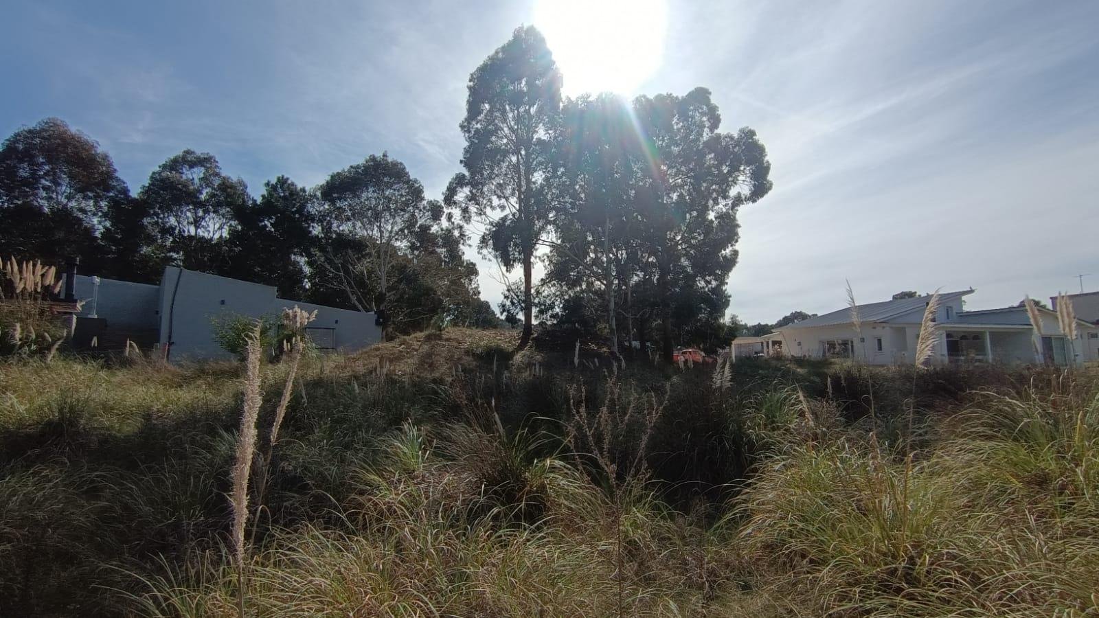 629441e0046f7d224184a78659719ae1