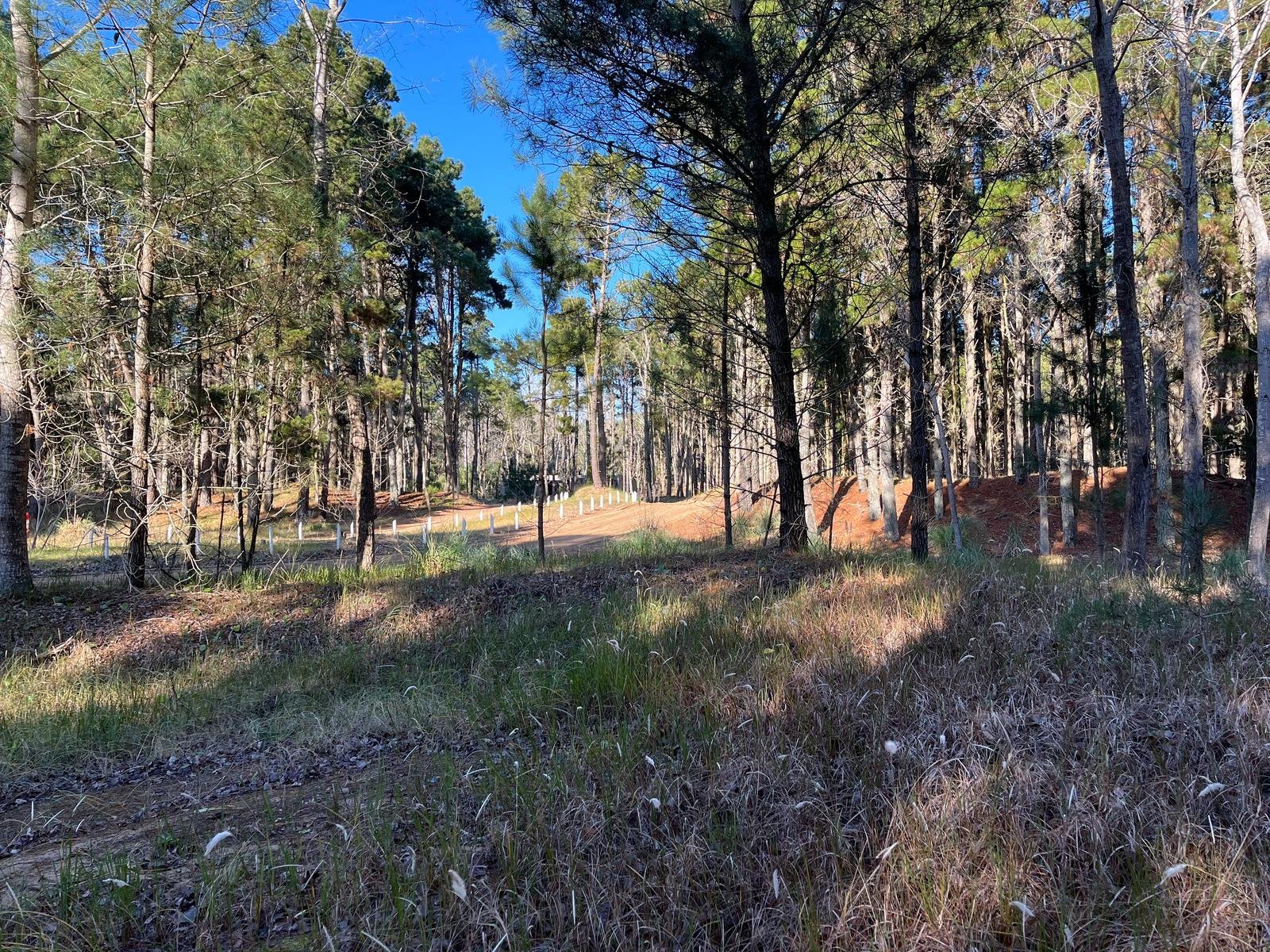 632819540d6f46005095b612eb2b860d