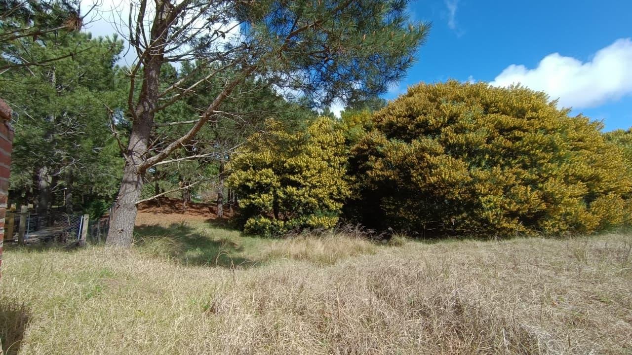 64b80fcc5740411b504e1ea1a9a420e1