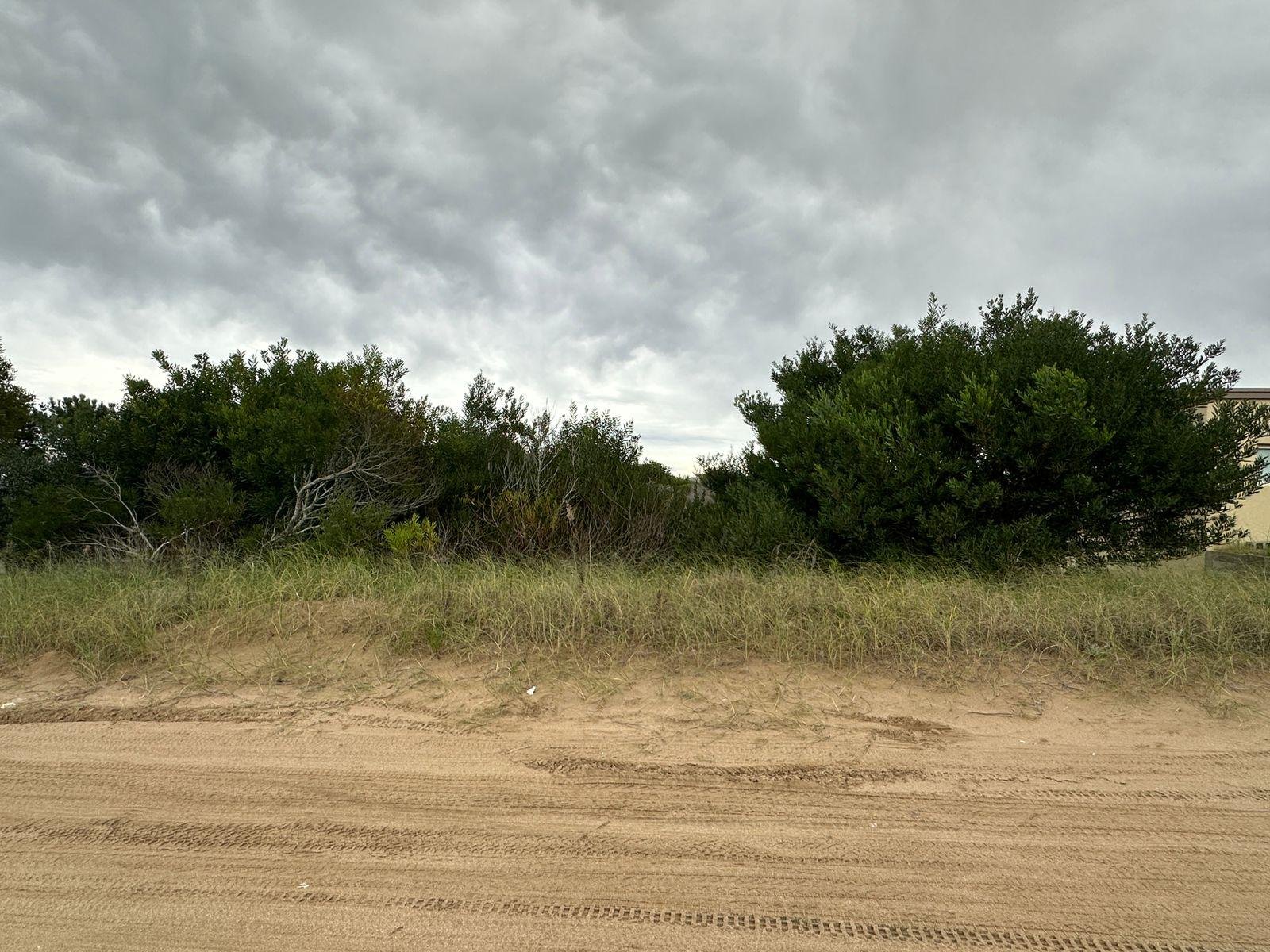 6b184645d05c2830cb1c8cd7cc1ac943