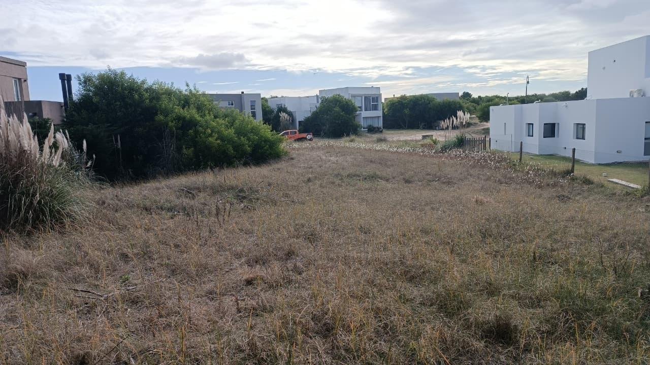 6b80106fc3889083301f68761318e527