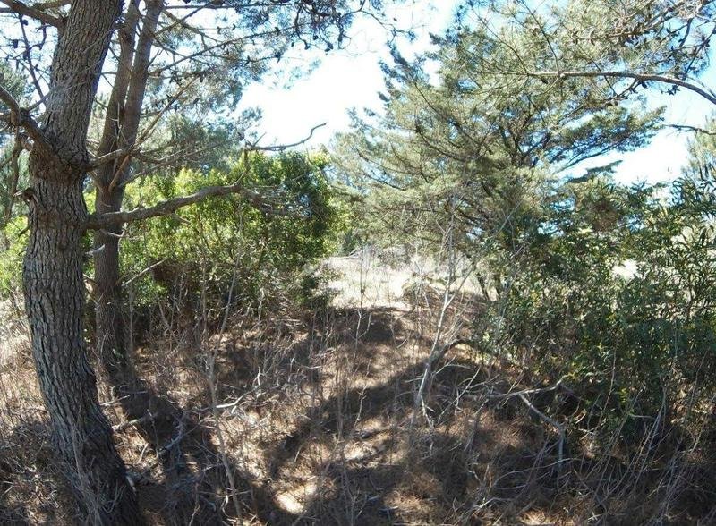 6ba1fd4b92fc8b472e66090b93b925e7