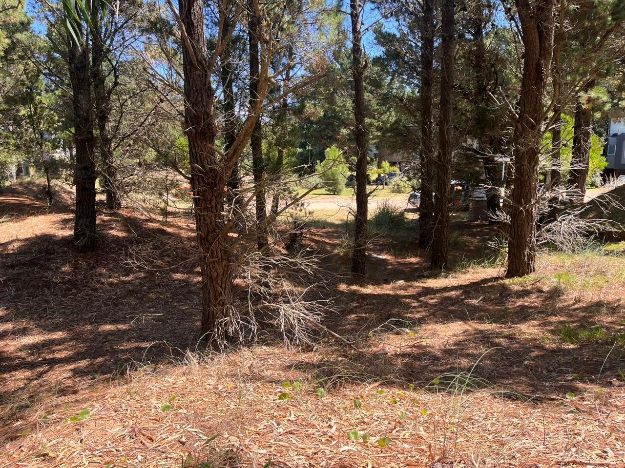 6d08dfcc77e044474f62b2abd9a55fff