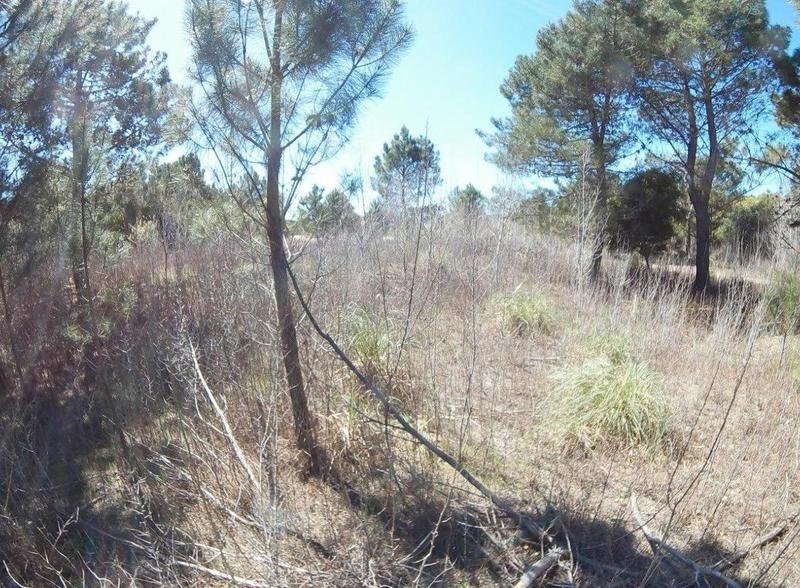 700e2ba61f5a79175478250936ed7f3c