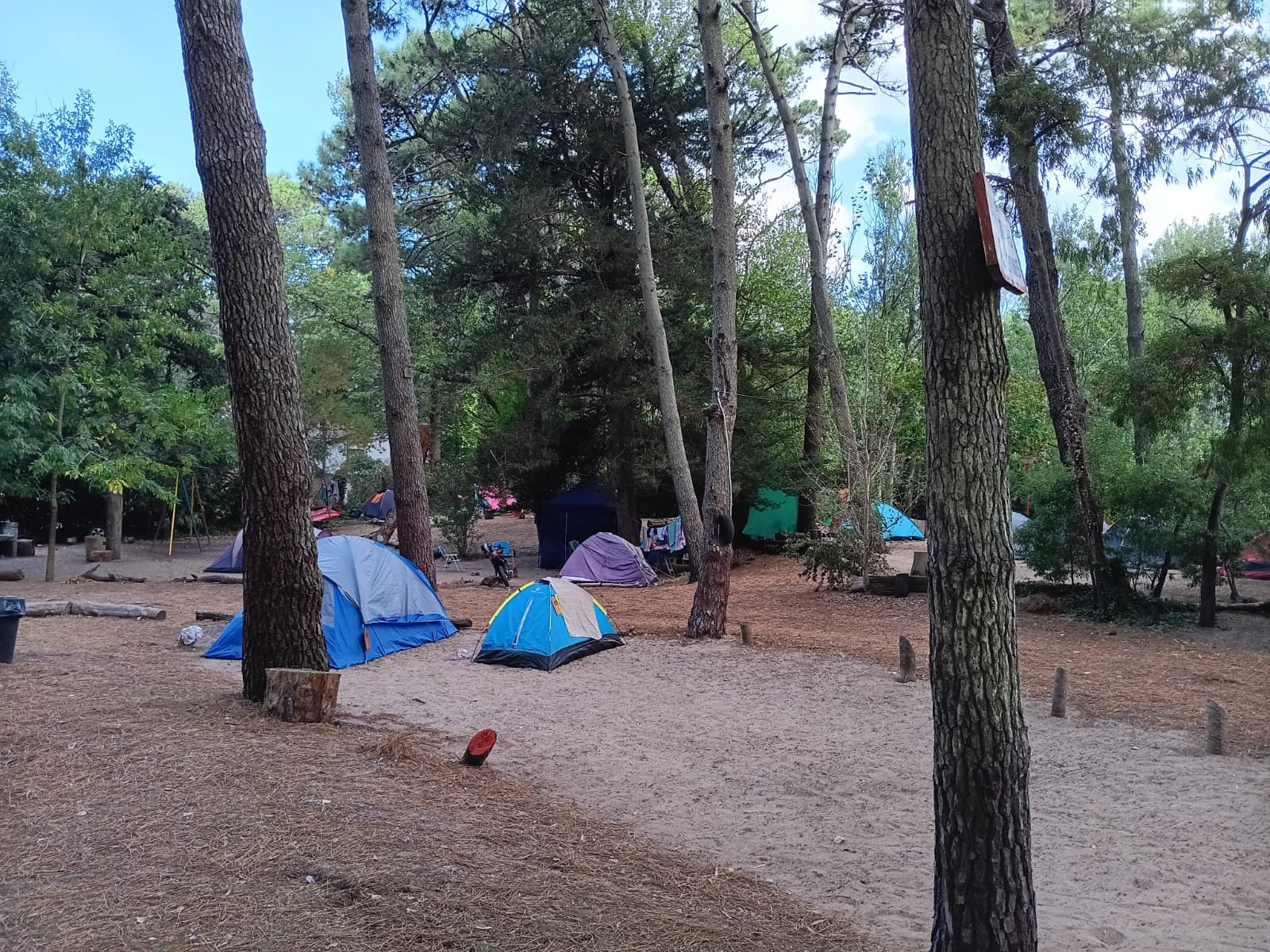 7282d98f5cdc1636c20342cfe79d4920