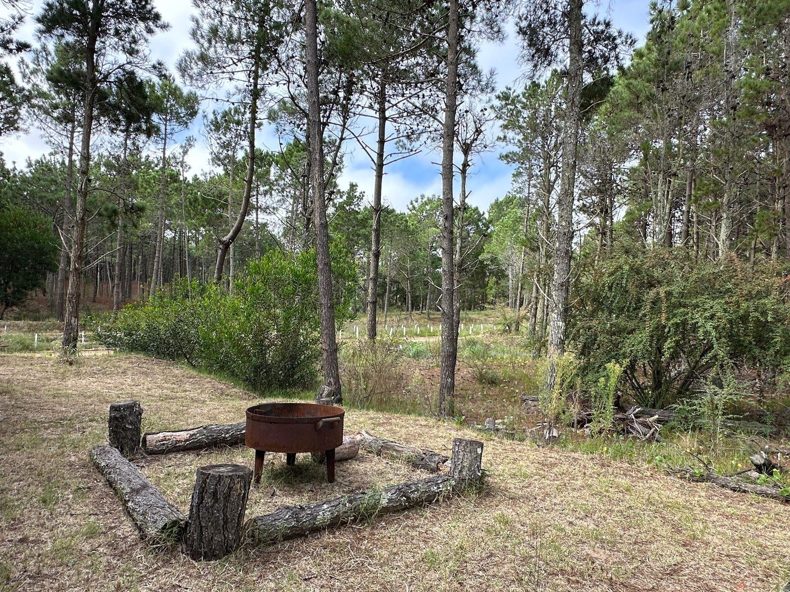 79ab6423a74f1f9ae1e4b4d93d08b5c7