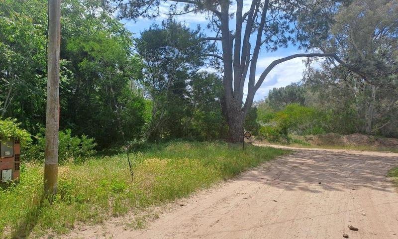 7c7ce584ab169d168c89cd1c3345b2cf