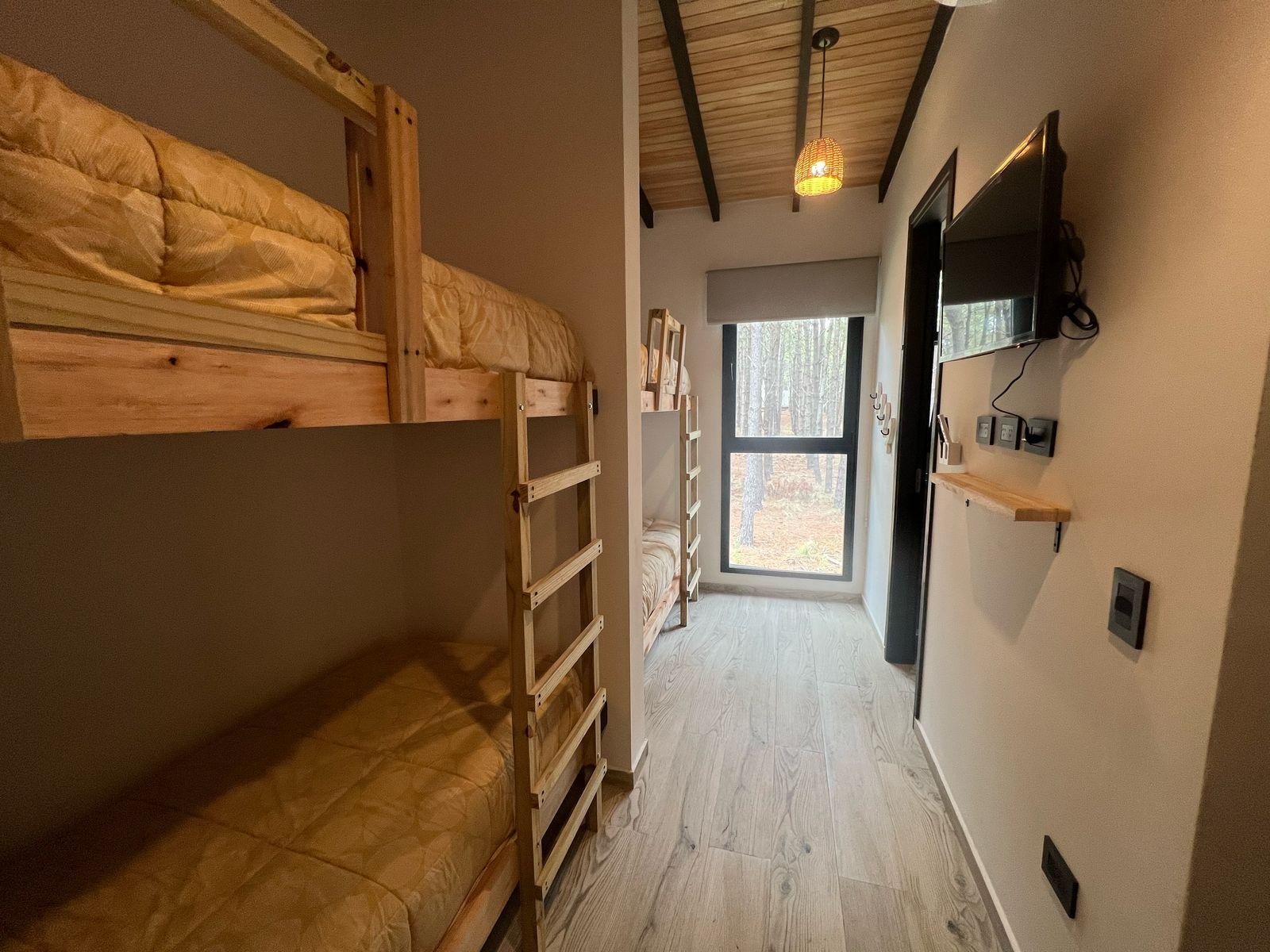 7d629e08896d5b560a9c182146287500