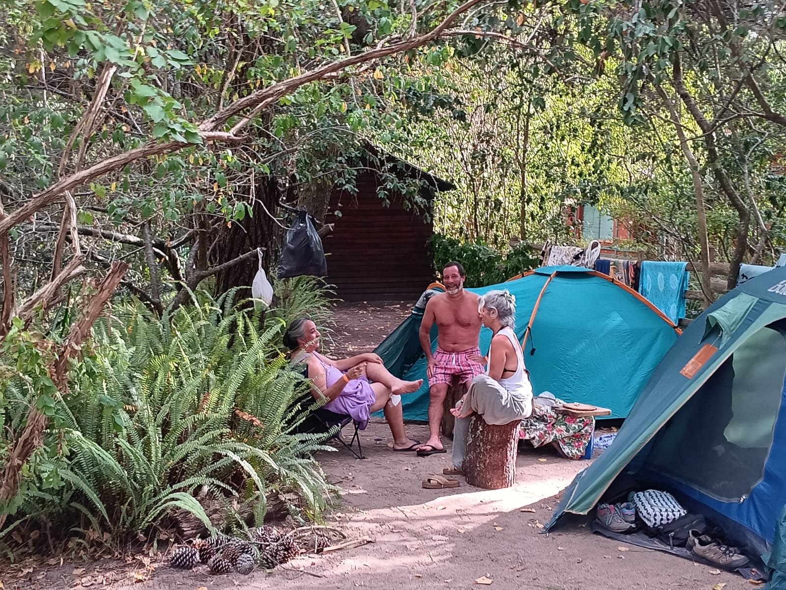 7e027e07827c43a49a08021e7f576b06