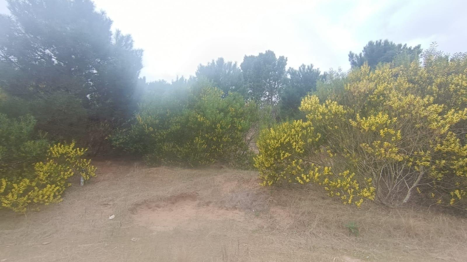 7e02c755918808c531be4e0a26c6f493