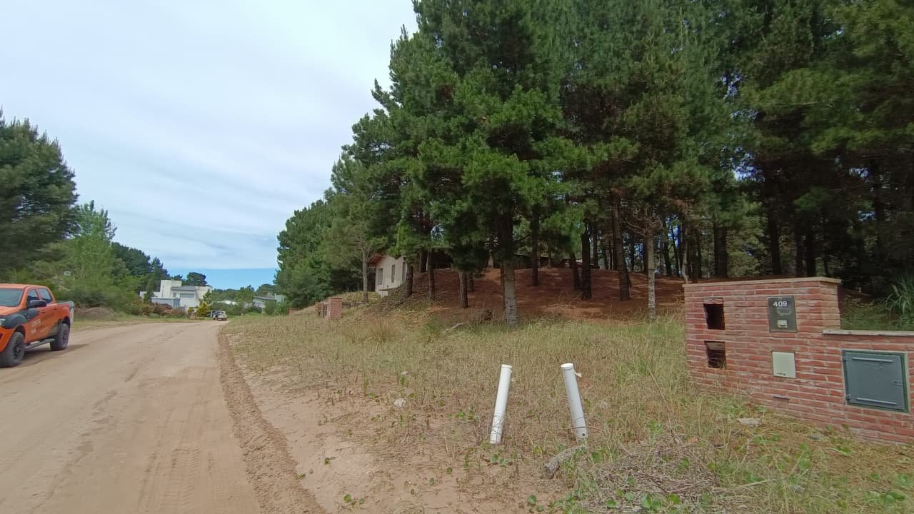 7ec4e72aea8256558bc0b6221f3ff976