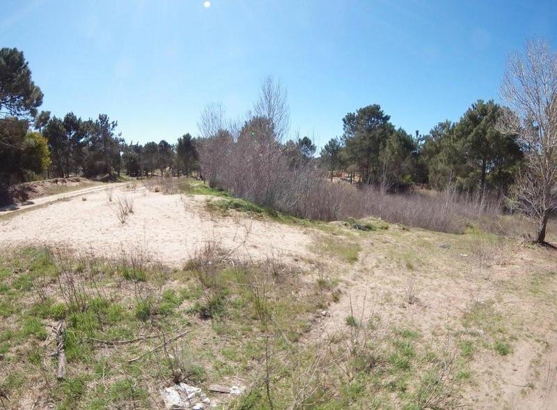 812d1c4cde4441f3adf0c85f60214f7f