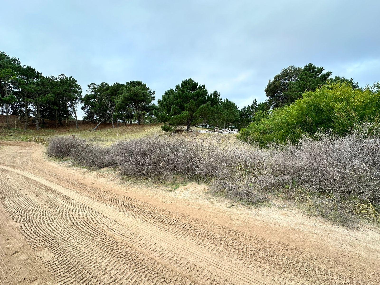 81fa6f856479dfaf04a6debdbc0b91f8