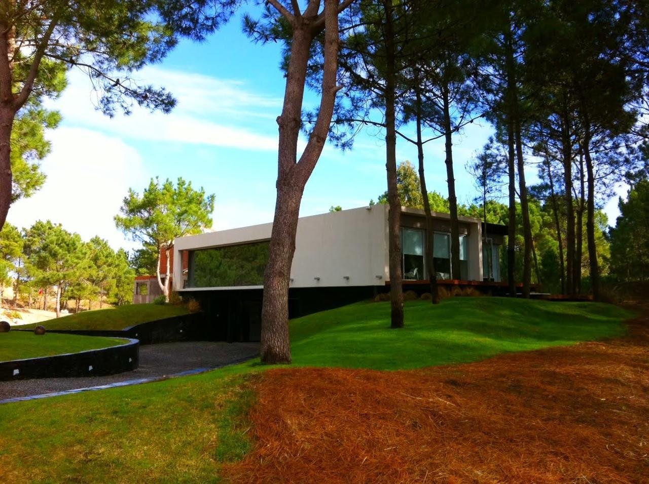 828f78390391002ea367adea6fa950e5