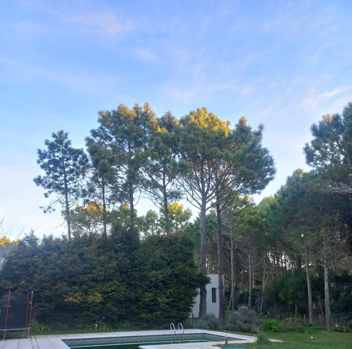 87be777ad3d204e41478ff4a771d576e