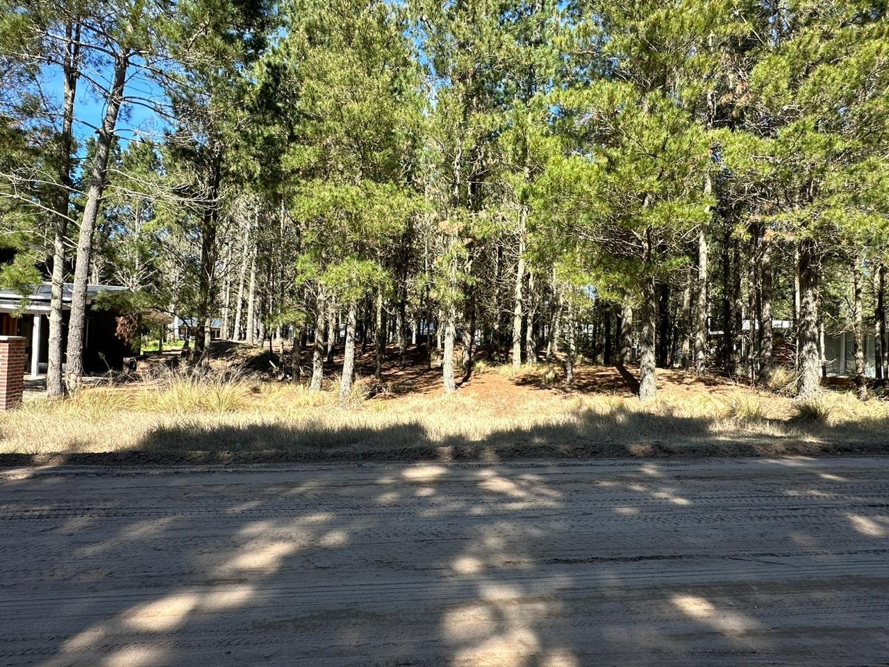 8a16aed5bd6da06fbdb15261ffd6ee45